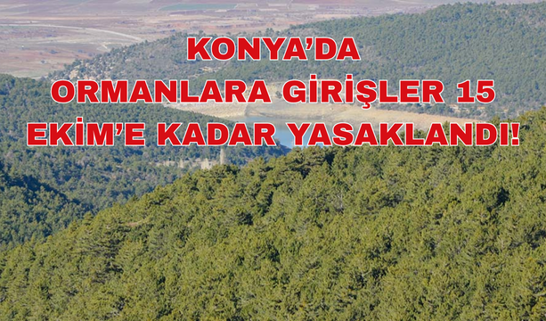 KONYA’DA ORMANLARA GİRİŞLER 15 EKİM’E KADAR YASAKLANDI