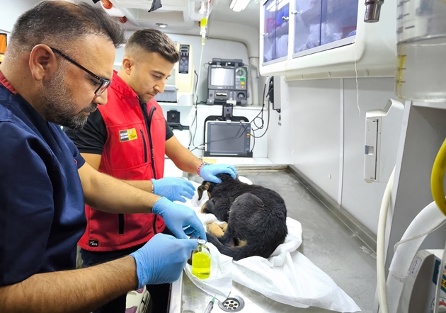 KONYA BÜYÜKŞEHİR İTFAİYESİ’NDEN YÜREKLERİ ISITAN KURTARMA OPERASYONU