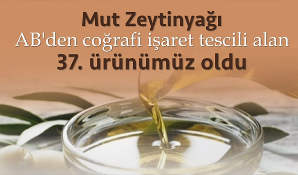 Mut Zeytinyağı, AB’den Coğrafi İşaret Tescili aldı