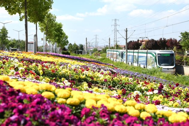 Haber Tarihi:17.06.2026
